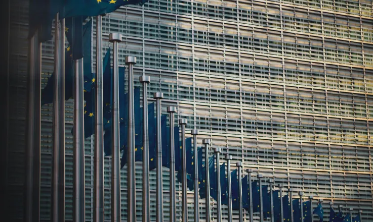 Row of flags in front of the European Parliament building